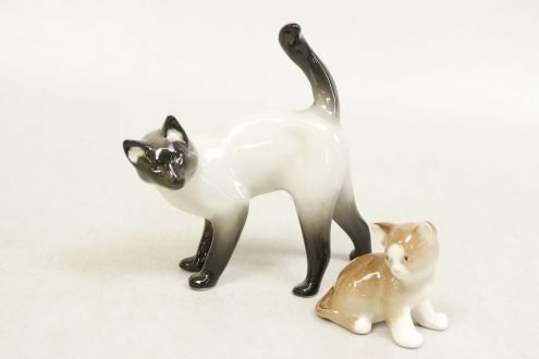 Kaķēnu pāris, Lfz